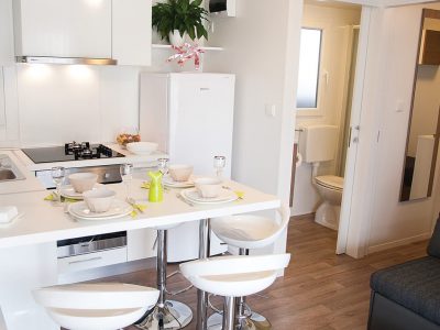 camping-rapoca-mobile-homes-delta-kitchen