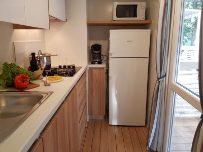 mobile-home-comfort-interior-kitchen-3