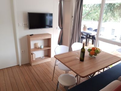 mobile-home-comfort-interior-living-room-4