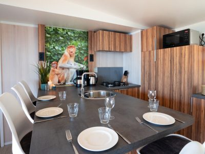 mobile-home-sunlodge-catalpa-interior-kitchen-4