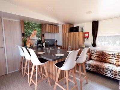 mobile-home-sunlodge-catalpa-interior-kitchen-dining-table-i-4