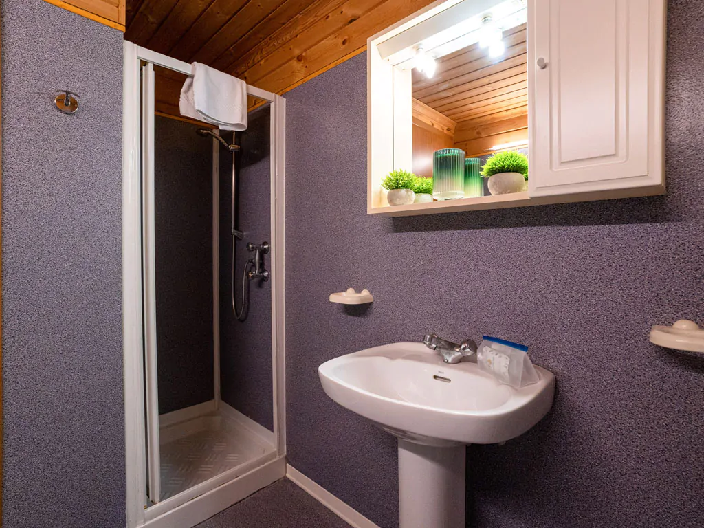 adriano-family-collection-mobile-home-chalet-comfort-dog-interior-bathroom