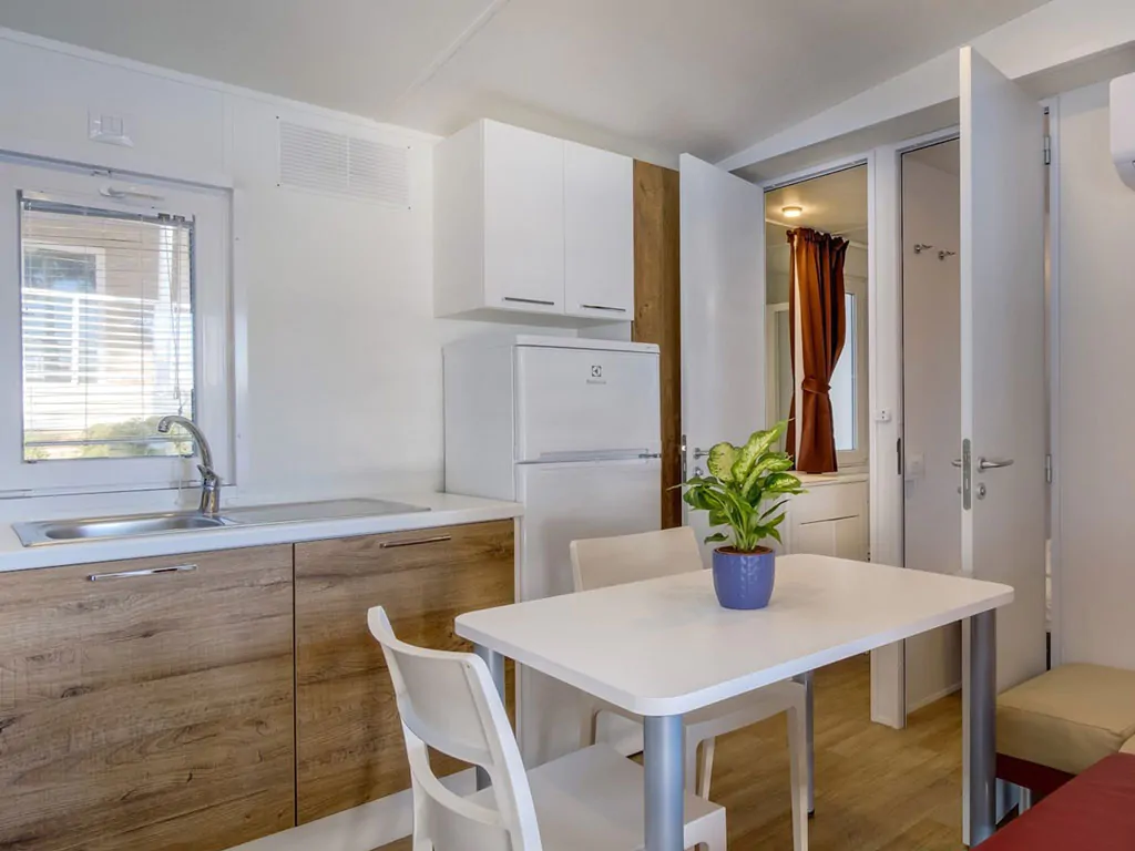 mobile-home-d-interior-living-room
