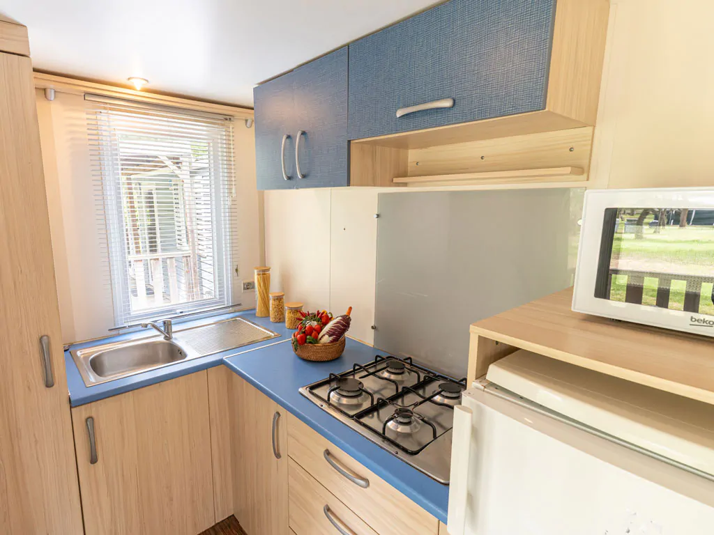 vigna-sul-mar-family-collection-mobile-home-lodge-comfort-dog-interior-kitchen