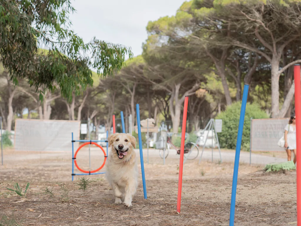 camping-s-ena-arrubia-dog-park