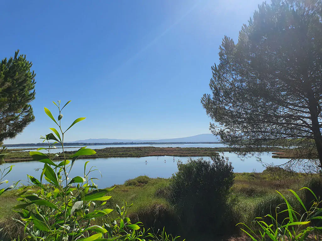 sena-arrubia-camping-village-nature