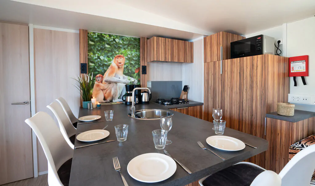 mobile-home-sunlodge-catalpa-interior-kitchen-6