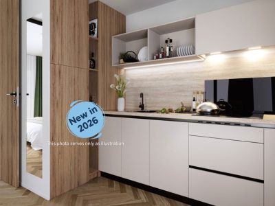 campsite-almissa-mobile-home-superior-glamping-interior-kitchen