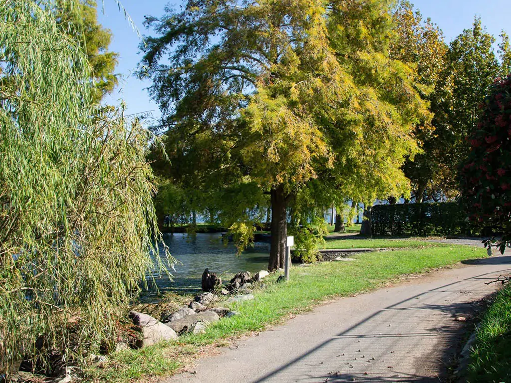camping-sassabenek-overview-path-nature-lake